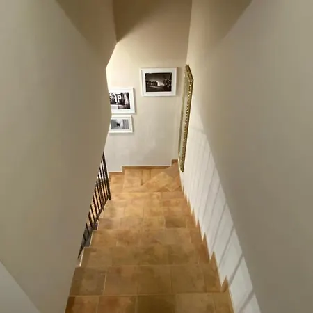 Vakantiehuis Boutique House Casa Mimo